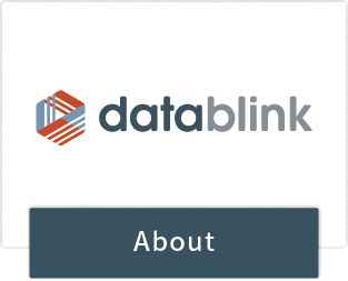 關於Datablink